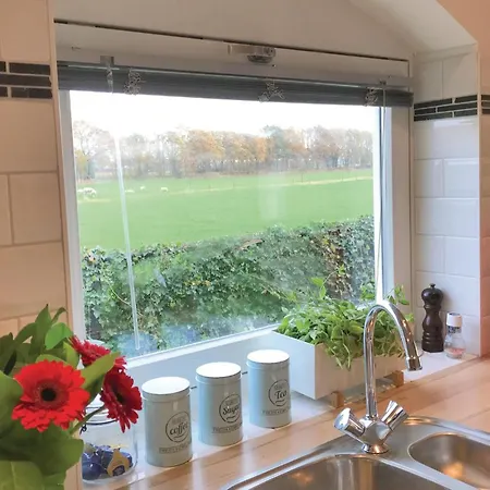 Boszicht Vakantiehuis