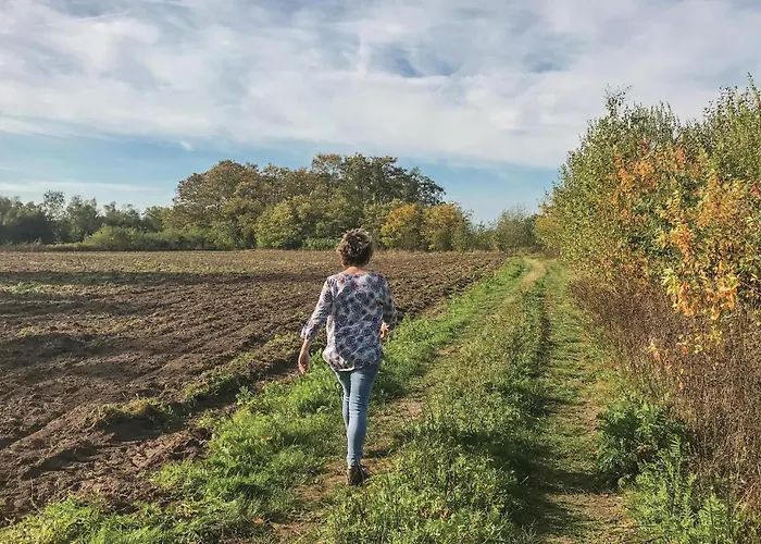 Boszicht Hébergement de vacances